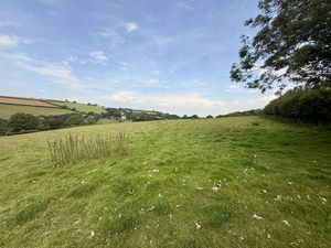  Trewidland